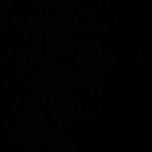 Meet your Posher, Ava